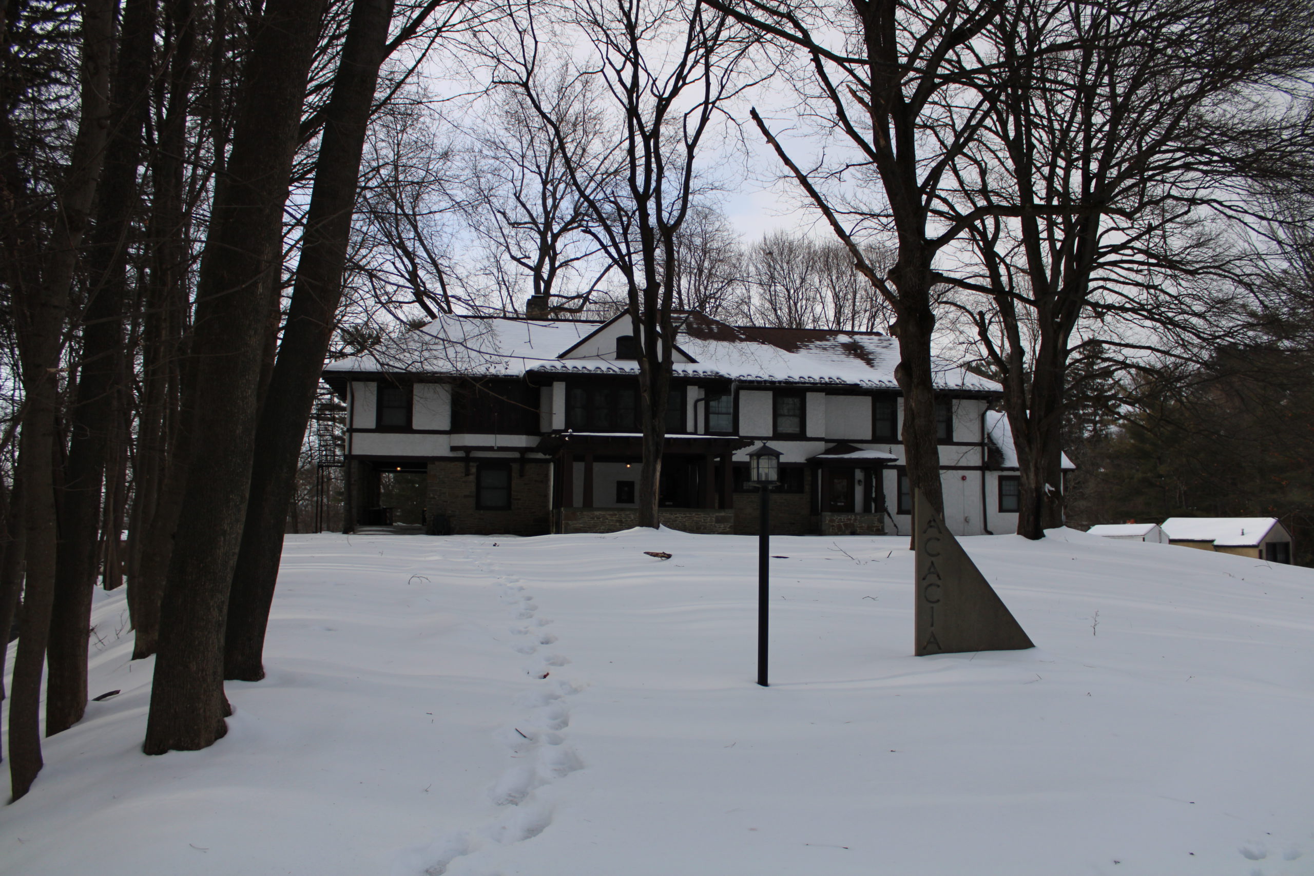 Northcote Cornell Acacia